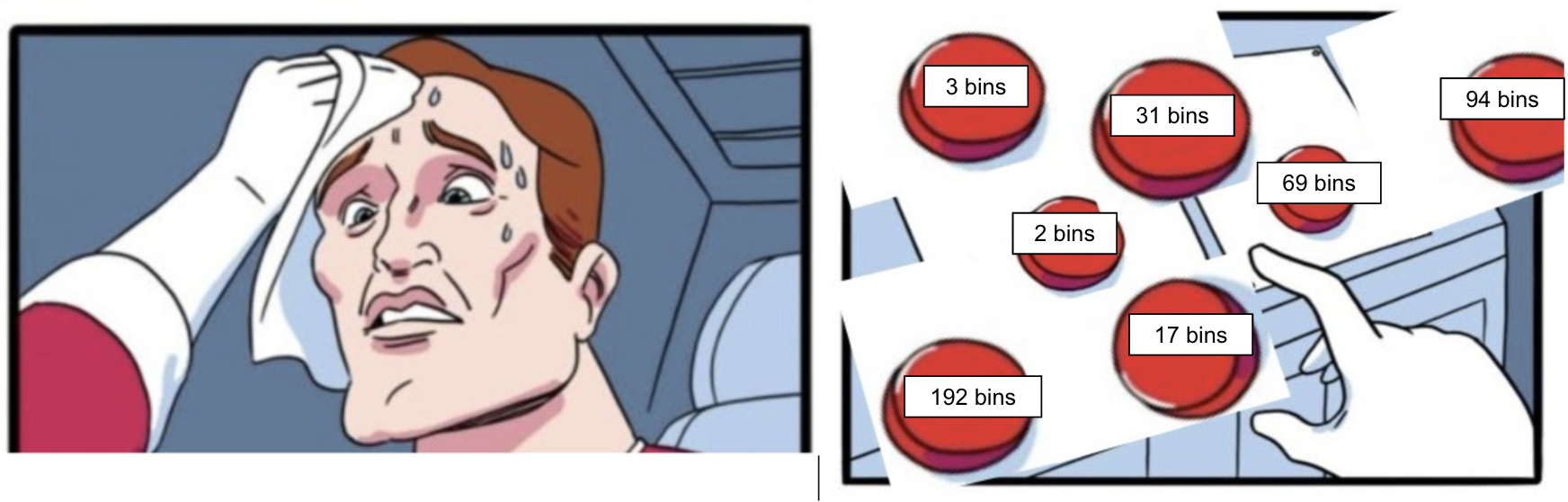 How Many Bins?